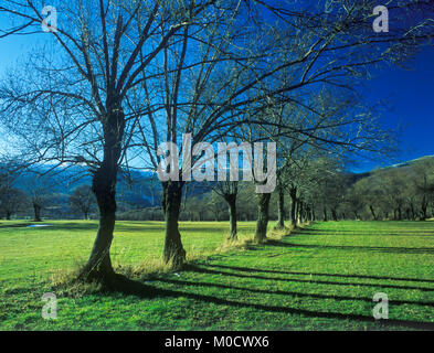Paisajes de la naturaleza en la comunidad de Madrid. España. Europa Stockfoto