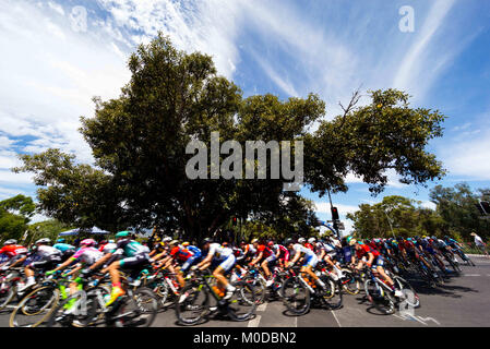 Adelaide, South Australia, Australien. 21 Jan, 2018. Das Peloton bei Stufe 6, Adelaide City Circuit, der Tour Down Under, Australien am 21. Januar 2018 Credit: Gary Francis/ZUMA Draht/Alamy leben Nachrichten Stockfoto