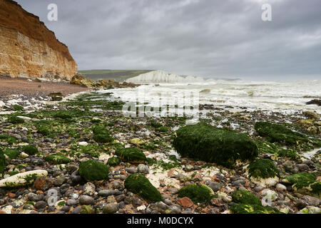 Cuckmere Haven, Sussex. Die Erosion der Küsten ändert sich schnell die alten, legendären weißen Klippen auf Großbritanniens Sussex Küste. Stockfoto