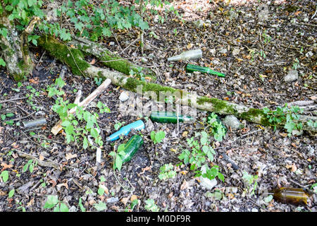 Leere Flaschen in den Wald geworfen. Müll links auf die Natur Stockfoto