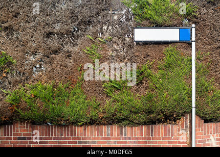 Vorderansicht des leeren weißen Straße Zeichen gegen eine Mauer in der grünen Vegetation bedeckt Stockfoto