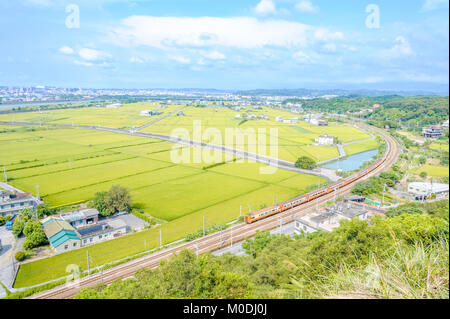 Zug durch grüne Reisfelder Stockfoto
