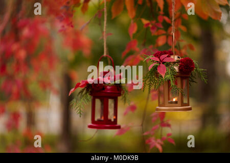 Abfallzeit. Herbst Dekoration. Kerzenständer in Form von Laternen mit Daisy Dekor, Wacholder und Herbst rote Blätter. Selektive konzentrieren. Stockfoto