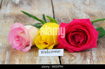 Karte mit drei bunten Rosen Willkommen Stockfoto