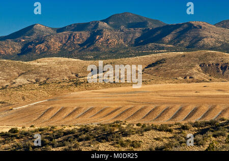 Aufgearbeitete Lagerbestände von industriellen Abfällen auf Freeport-McMoRan Copper & Gold Inc. Tyrone Mine in der Nähe von Silver City, New Mexico, USA Stockfoto