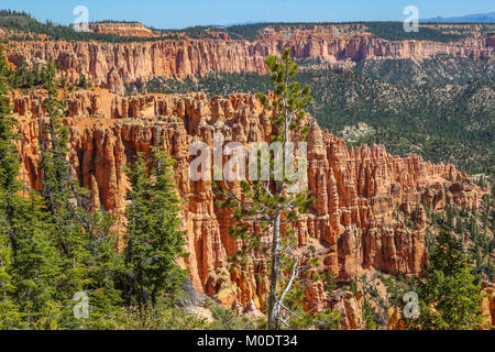 Ein Blick von der Bristlecone Loop Trail, Bryce National Park Kanab, UT Stockfoto