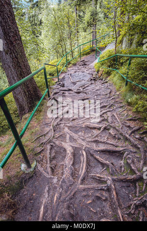 Wanderweg auf szczeliniec Wielki, dem höchsten Gipfel der Berge Stolowe (Tabelle Berge), Teil der Sudeten, Niederschlesien Region Polens Stockfoto