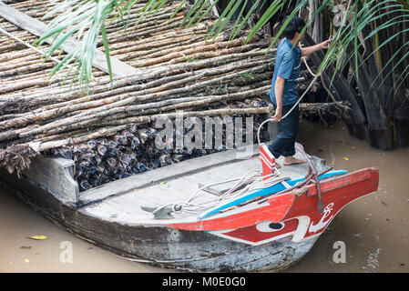 Kanal Lastkahn mit Holz, Vietnam Stockfoto