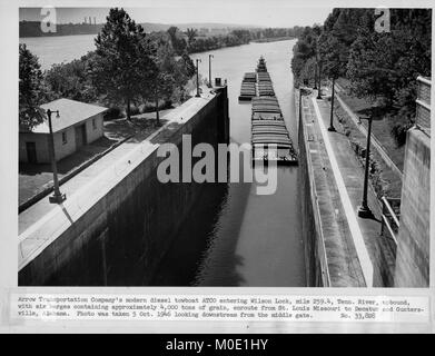 Der Pfeil des Transport Unternehmen diesel Schlepper ATCO betritt Wilson Lock Okt. 5, 1946 am Tennessee River Mile 259.4 in Florenz, Ala Die sechs bargers ca. 4.000 Tonnen Getreide aus St. Louis, MO. enthalten, unter der Leitung von Decatur und Guntersville, Ala der US-Armee Korps der Ingenieure Nashville Bezirk betreiben und das Schloss an der Tennessee Valley Authority Projekt erhalten. (USACE Stockfoto