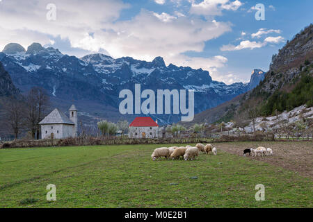 Thethi Dorf im Theth Tal in Albanien Stockfoto