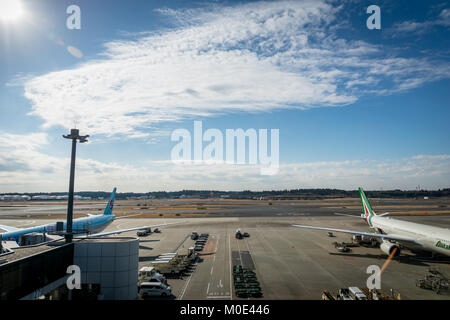 Tokio, Japan - November 2017: Tokyo Narita Internationalen Flughafen Landebahn anzeigen. Vom internationalen Flughafen Narita ist einer der verkehrsreichsten Flughäfen in Asien. Stockfoto