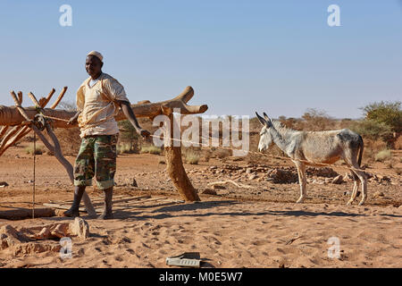 Mann holen Wasser aus einem Brunnen mit einem Esel in der Nähe von Naqa, Sudan (Sudan), Afrika Stockfoto
