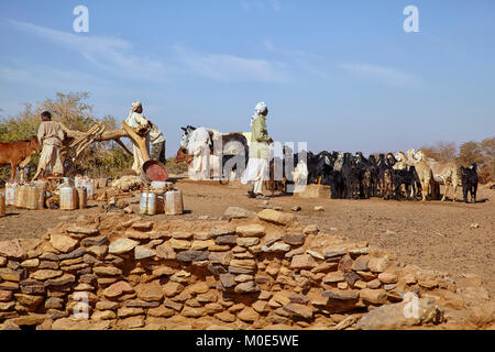 Die Leute holen Wasser aus einem Brunnen mit einem Esel in der Nähe von Naqa, Sudan (Sudan), Afrika Stockfoto