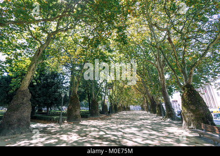 Schönen Park mit Bäumen in Porto Stockfoto