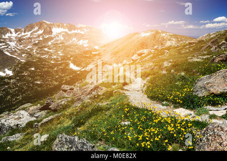 Wanderweg schlängelt sich durch Felder von bunten wildflowers mit Sonnenlicht über eine entfernte Bergkette der Colorado Wüste glänzend Stockfoto