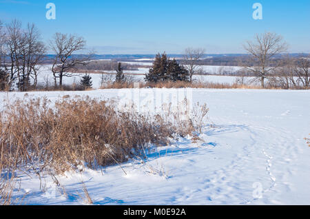 Felder Täuschungen und River Valley Vista im Winter in Spring Lake Park Reserve in Hastings, Minnesota Stockfoto