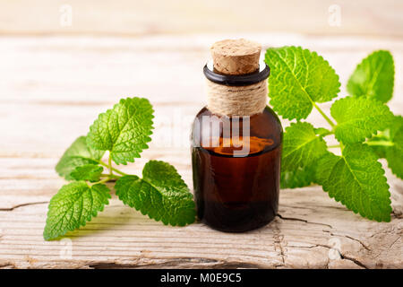 Melisse ätherisches Öl in der Flasche, auf dem Holzbrett Stockfoto