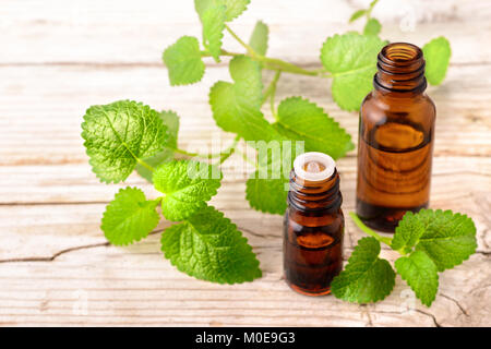 Melisse ätherisches Öl in der Flasche, auf dem Holzbrett Stockfoto