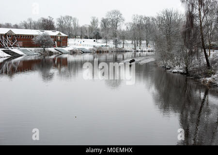Glasgow, UK. 21 Jan, 2018. Rowers trotzen dem Frost auf den Fluss Clyde in Glasgow's Gorbals Kredit zu trainieren: Tony Clerkson/Alamy leben Nachrichten Stockfoto