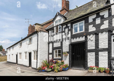 Schwarze und weisse Fachwerkhäuser, Berriew, Powys, Wales, Großbritannien Stockfoto
