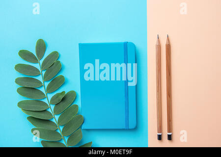 Schreiben Notepad Holz Bleistifte grüne Pflanze Zweig auf Kontrast Blau Peach Pink Pastell Farbe Hintergrund Kombination. Geschäft Ausbildung Routine Organizati Stockfoto