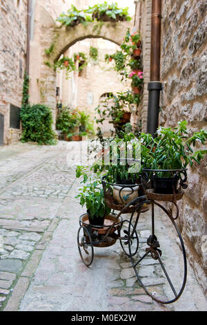 Spello, Perugia, Umbrien, das grüne Herz Italiens. Vintage Bike mit mit Pflanzen in einer Gasse, die typisch für das Zentrum von Spello, berühmt für blumige Gassen Stockfoto