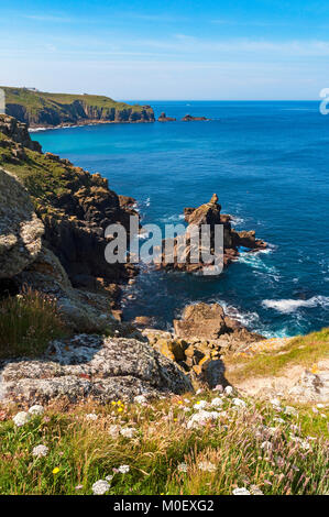 Die zerklüftete Küste in der Nähe von Lands End in Cornwall, England, Großbritannien, Großbritannien. Stockfoto