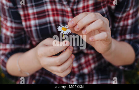 Nahaufnahme eines Mädchens Kommissionierung Blütenblätter aus einem daisy flower Stockfoto