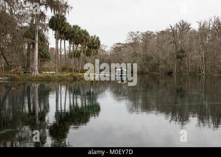 Silver Springs Ocala, Florida State Park USA Stockfoto