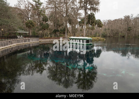 Silver Springs Ocala, Florida State Park USA Stockfoto