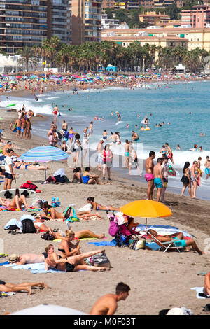 Sonnenanbeter, Touristen und Einheimische genießen die Sonne, Sand und Meer an der Playa de La Malagueta Beach Malaga, Costa del Sol in Spanien im Sommer Stockfoto