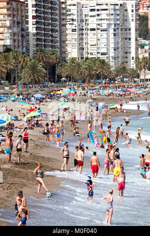 Sonnenanbeter, Touristen und Einheimische genießen die Sonne, Sand und Meer an der Playa de La Malagueta Beach Malaga, Costa del Sol in Spanien im Sommer Stockfoto