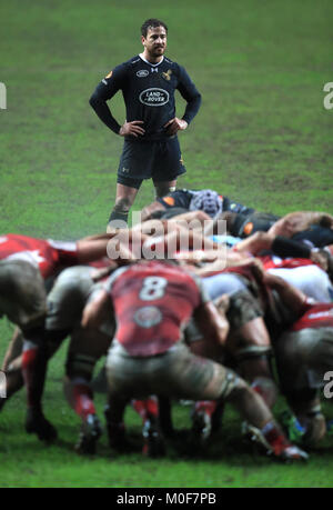 Wespen" Danny Cipriani während des Europäischen Rugby Champions Cup, der Pool eine Übereinstimmung in der Ricoh Arena in Coventry Stockfoto