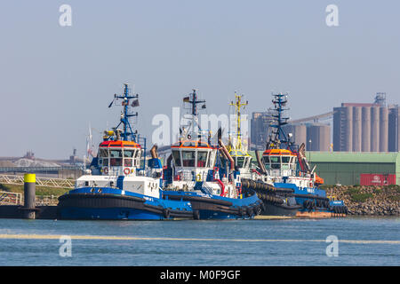 Hoek van Holland, Rotterdam, Niederlande - 9 April 2017: tug boarts im Dock von Rotterdam Hafen Anker Stockfoto