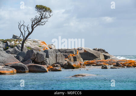 Tasmanien Binalong Strand an der Bucht von Bränden, weil der Eingeborenen Brände an der Küste und die hellen orange Flechten für den Marmor Felsen benannt Stockfoto