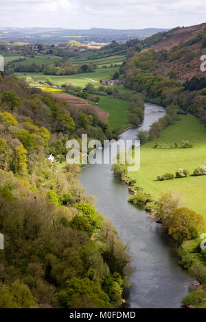 Vista des Flusses Wye aus symond von Yat Rock, Wald von Dean, England Stockfoto