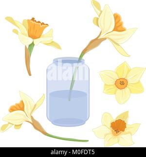 Strauß die Narzissen in der Vase isoliert Vektor-clipart set Abbildung: Frühling Narzissen Blumen Stock Vektor