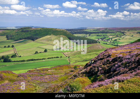 Köpfe, zwischen Großen und Kleinen Fryup North York Moors National Park North Yorkshire Stockfoto