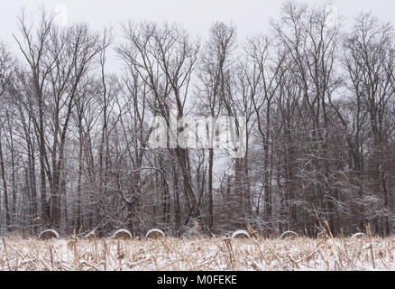 Die Landwirte Feld mit Heu- und Woods hinter an einem verschneiten Tag Stockfoto