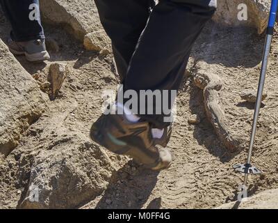 Die Ergebnisse von zwei Personen Füße Wandern auf Rocky Trail an einem sonnigen Tag Stockfoto