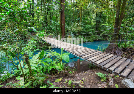 Übergabe Brücke im grünen Dschungel, Costa Rica, Mittelamerika Stockfoto