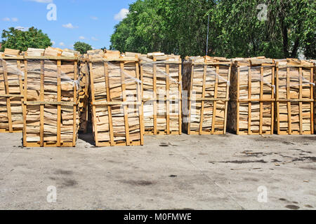 Holzschnitt auf dem Betriebshof des Protokolls und zum Verkauf bereit. Stockfoto