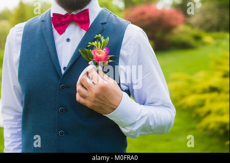 Fragment des Luxus Bräutigam Outfit im weißen Hemd, blau Baumwolle Weste und rosa Details auf dem Grün im Hintergrund Stockfoto