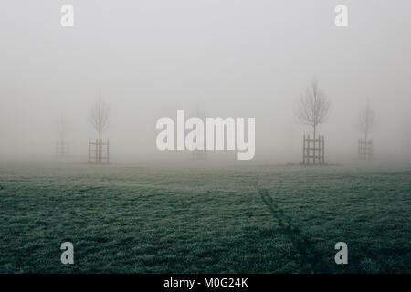 Rasen und Bäumen Broomfield Park, London, verschwinden im Nebel an kalten Wintermorgen. Stockfoto