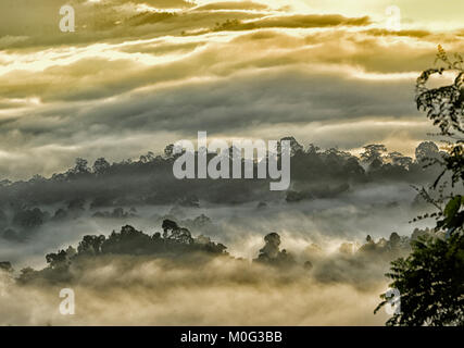 Morgennebel und Sonnenaufgang über die primären Regenwaldes, Danum Valley, Borneo, Sabah, Malaysia Stockfoto