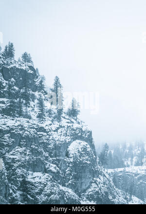 Cliffside und immergrüne Bäume mit Schnee bedeckt und durch dichten Nebel in Schwarzweiß umgeben Stockfoto