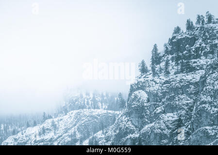 Seite der schneebedeckten Berge und immergrüne Bäume im Winter umgeben von Nebel und Wolken in Schwarzweiß Stockfoto