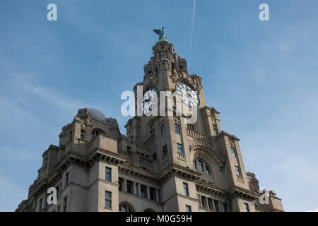 Royal Liver Building auf Liverpool Waterfront Stockfoto