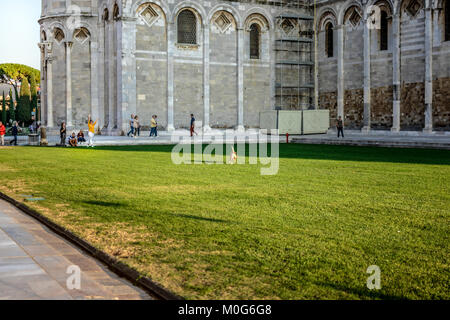 Eine junge Frau spielt mit ihrem Hund läuft locker auf dem Rasen der Pisa Kathedrale auf dem Platz der Wunder in Pisa, Italien Stockfoto