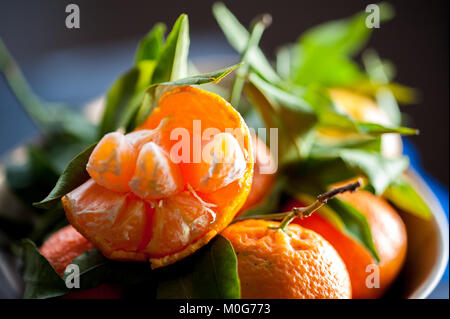 Eine Nahaufnahme eines frischen saftigen Clementinen mit grünen Blättern im Maßstab Schüssel Stockfoto